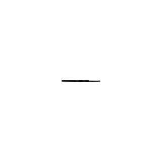 0010061.JPG