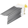 NAILART_BRUSHES_16PCS_BLACK.JPG