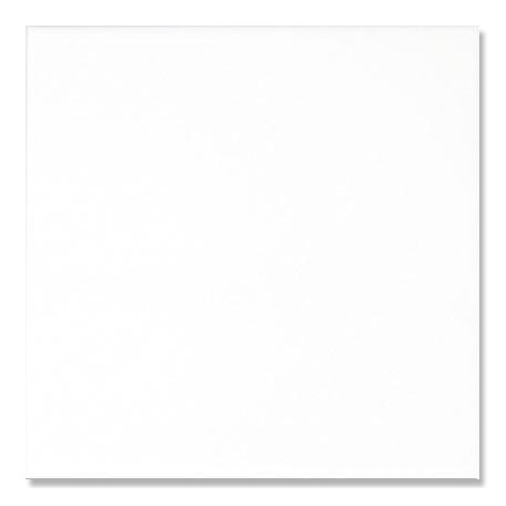 NAILART TEGEL WIT.JPG