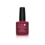DECADENCE_SHELLAC3E43LR.JPG