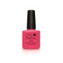 TROPIX_SHELLAC261DLR.JPG