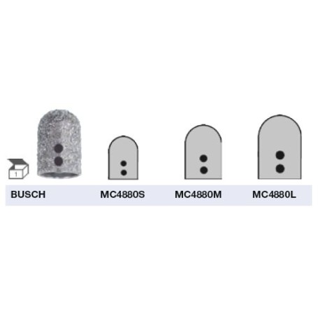 MEDCAP_MC4880_BUSCH.JPG