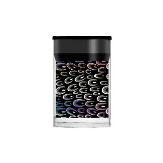 FEATHER NAIL FOIL.JPG