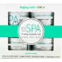 BCL-SPA-TINGLING-MINT-CBD-4-STEP-STARTER-KIT_16OZ.JPG