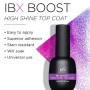 IBX_BOOST_TOPCOAT4.JPG