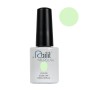 NAILIT 40 ICE CREAM GELPOLISH.JPG