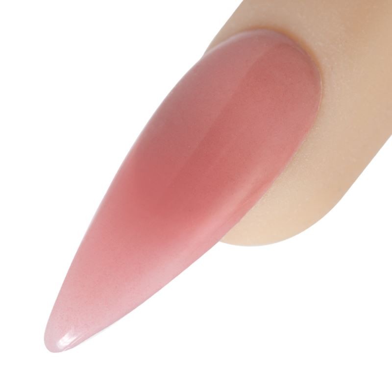 COVER FLAMINGO.JPG