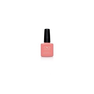 MAZ_CND_SHELLAC_RULE_BREAKER.JPG