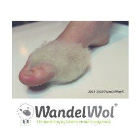 Wandelwol kennispakket 4x10gr 4x20gr 1x40gr+promotie WANDELWOL_KENNISMAKINGSSET.JPG