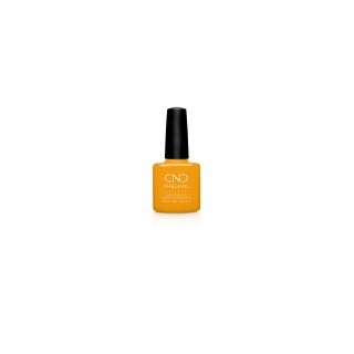 AMONG THE MARIGOLDS SHELLAC.PNG