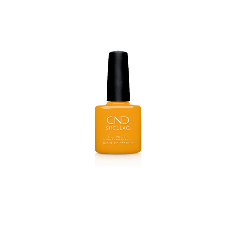 AMONG THE MARIGOLDS SHELLAC.PNG