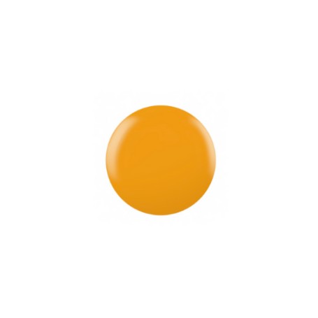 CND-AMONG-THE-MARIGOLDS_1.PNG