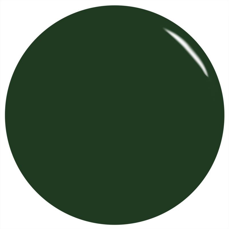2060063_P_FOREVERANDEVERGREEN.JPG