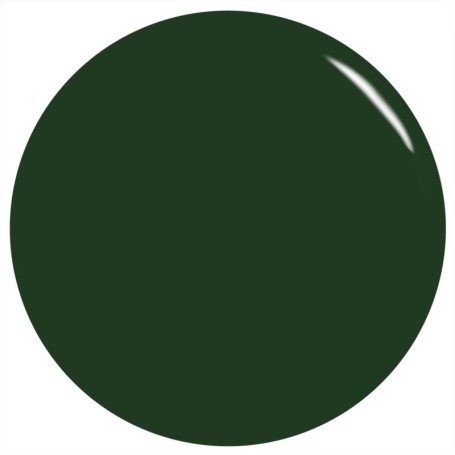 2060063_P_FOREVERANDEVERGREEN.JPG