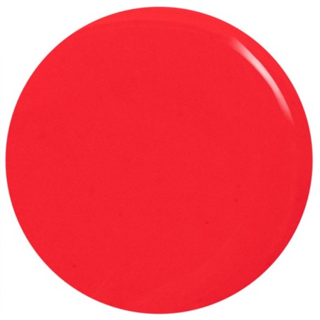 00187_P_CONNECTTHEDOTS.JPG