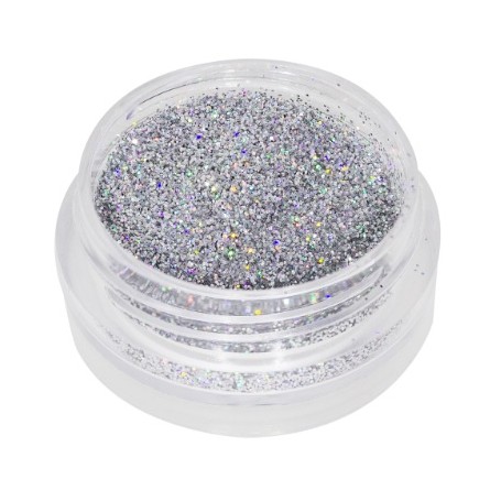 4204437 HOLO ZILVER.JPG