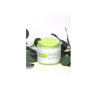 BCL_SPA_TROPICAL_MOJITO_DEADSEASALTSOAK_718A1030.JPG
