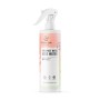 Radeq Lab Pre&Post Biotic Rose Water 430ml