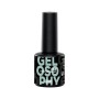 Astonishing Gelosophy 164 Fresh Mint Melody 7ml