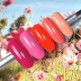 Nailit Gelpolish 2Blossom Collectionpack 5 colorcoats