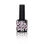 Astonishing Gelosophy 183 Hanami no Sora 7ml
