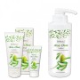 Camillen 60 Aloe-Olive Lotion