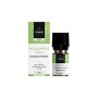 Volatile Etherische Olie Eucalyptus wild 10ml