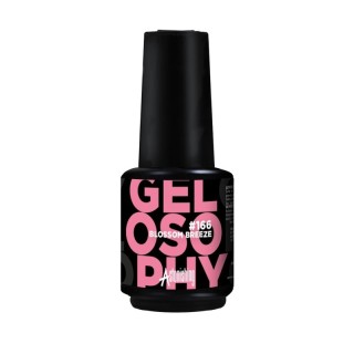 Astonishing Gelosophy 166 Blossom Breeze 15ml kopen?