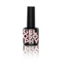 Astonishing Gelosophy 185 Hinode no Niji 7ml