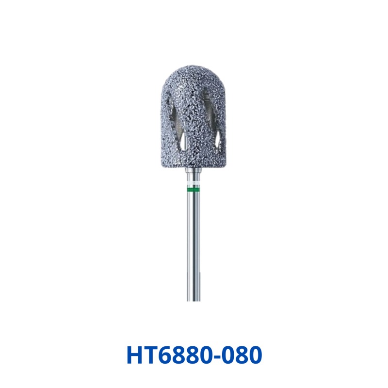 Busch HT6880 080 H/HP HybridTWISTER kopen?