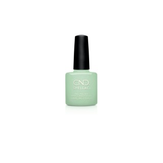 CND Shellac 441 Mint and Meditation 7,3ml kopen?