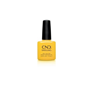 CND Shellac 472 Catching Light 7,3ml kopen?