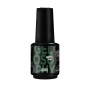 Astonishing Gelosophy 070 Pine 15ml