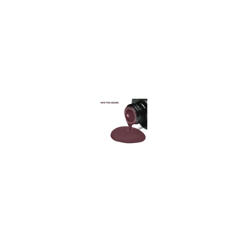 Astonishing Gelosophy #010 The Cedars 7ml kopen?