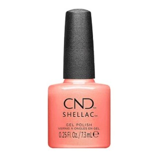 CND Shellac 476 Apribot 7,3ml kopen?