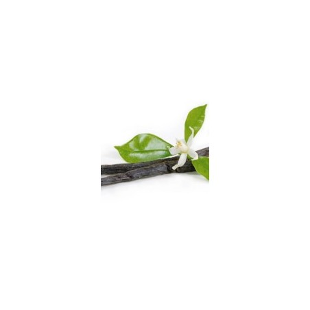 Sibel Massagekaars Vanille 80gr
