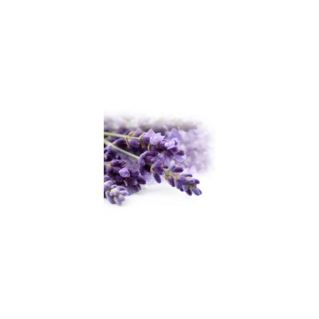 Sibel Massagekaars Lavendel 80gr