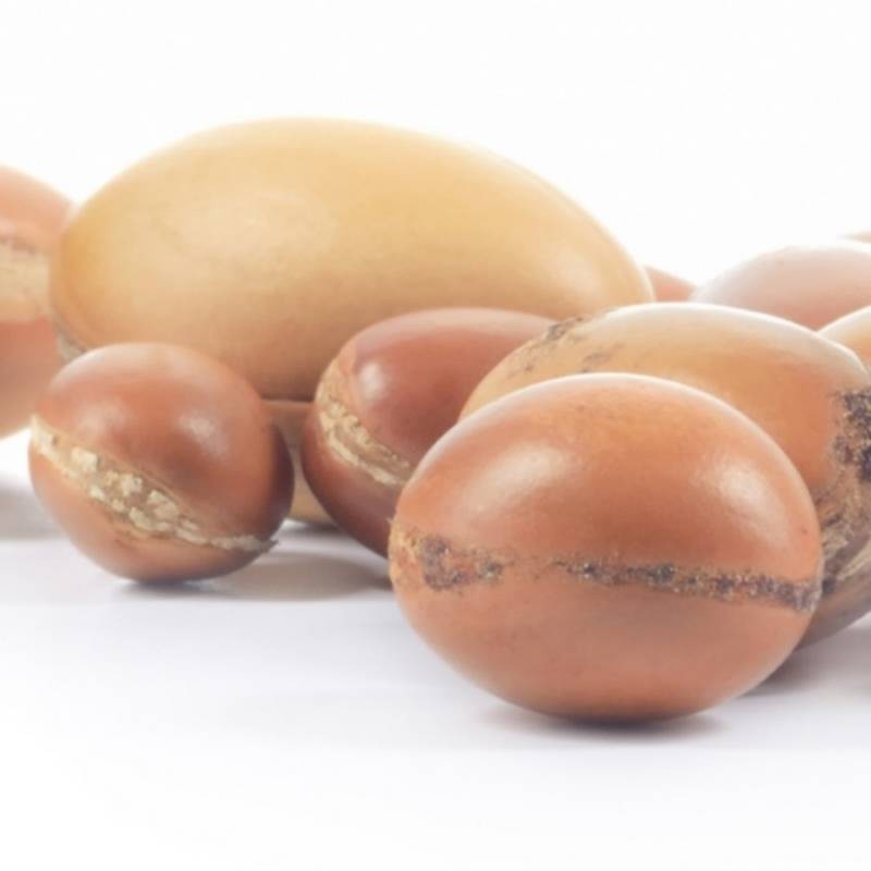 Sibel Massagekaars Argan 80gr