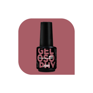 Astonishing Gelosophy 153 Tartalette Ganache 15ml