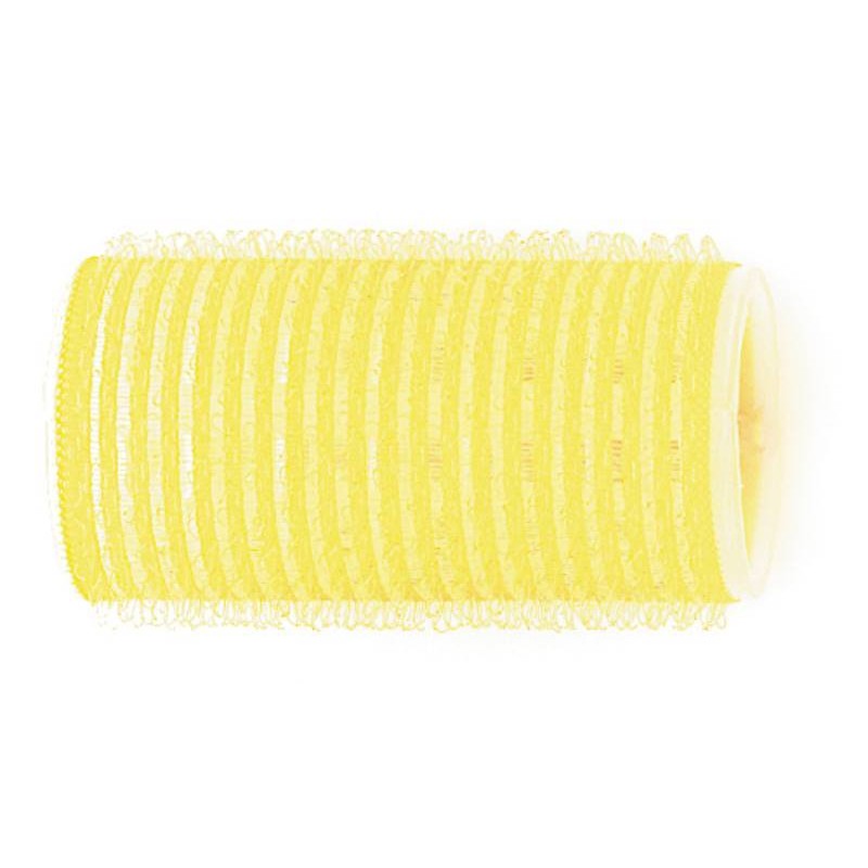 4123549.JPG