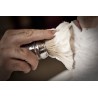 Barbier