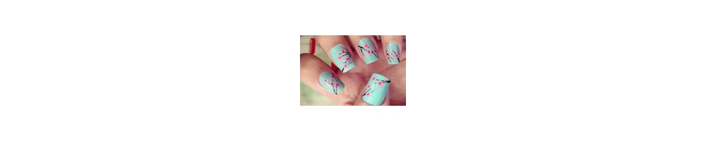 Nail Art bij MAZ Beautyland kopen?