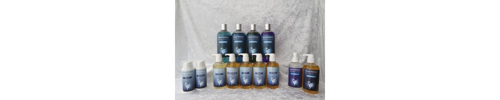 Aysun Wellness Massage Producten bij MAZ Beautyland kopen?