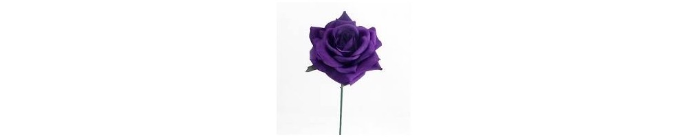 Volatile Purple Rose bij groothandel MAZ Beautyland kopen?