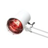 Lampen. Loupelampen en IR-lampen
